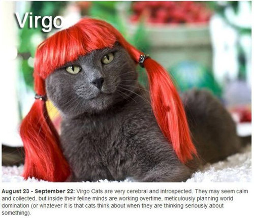 ǭ��12�����ꤤ06