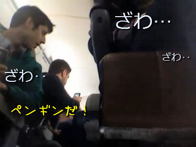 飛行機にペンギン