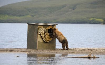 野生動物カメラマン11