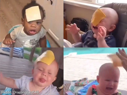 なぜかスライスチーズを赤ちゃんに投げつけると泣き止むことが判明…海外で流行中!?