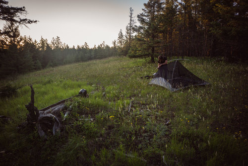 アラスカへの旅18