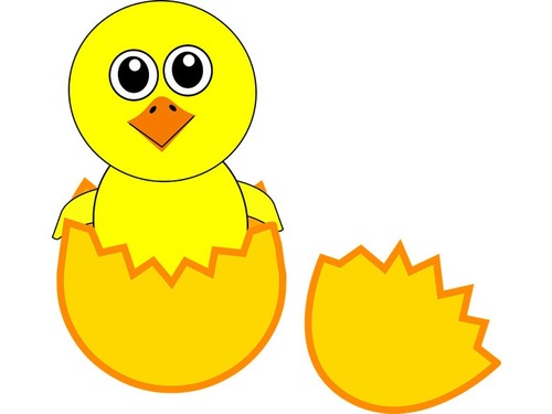 変身するヒナ鳥