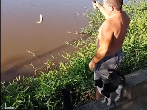 魚を釣ったつもりが猫が釣れるとき