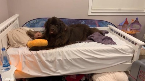 ������������ۤ���02