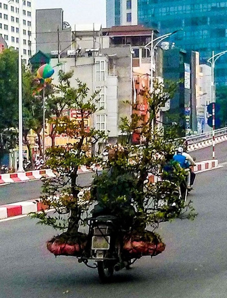 �Х�����ʪ�򱿤ָ³�15