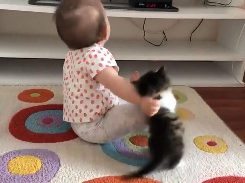 ��ǭ���֤�����ĩ��02