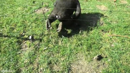 �ŵ�������Ѥˤ�����ȴ���르���03