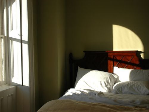 「すがすがしい朝の顔」をした猫00