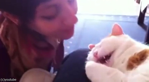 ����������Ĥ��Ʊ�����ǭ03