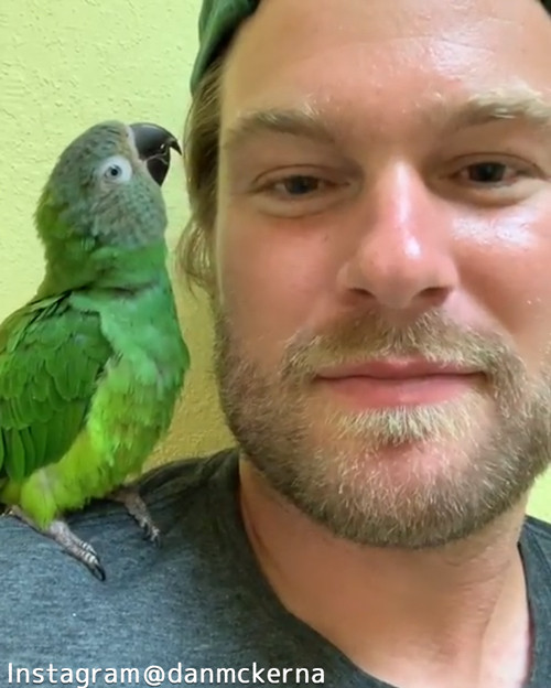 鳥にキスしたら…愛情表現が返ってきたっ!04