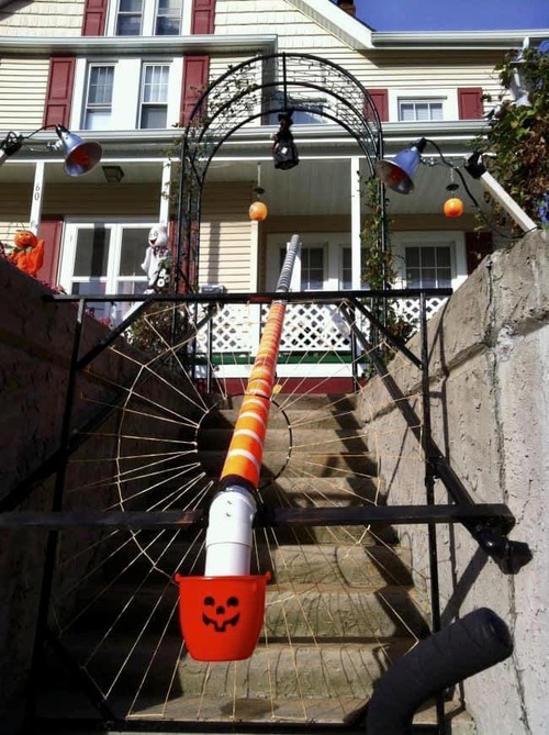 �ѥ�ǥߥå��ˤʤäƽ��ƤΥϥ�������Ϥ����ʤ�01