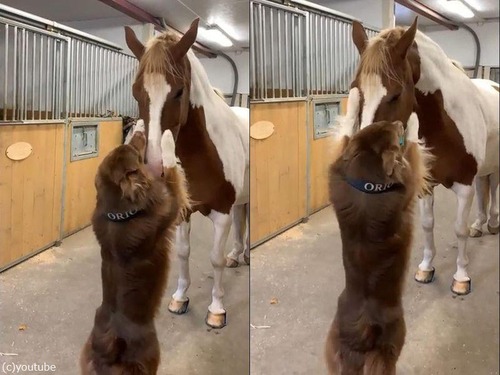 �����ϤΥϥ�01