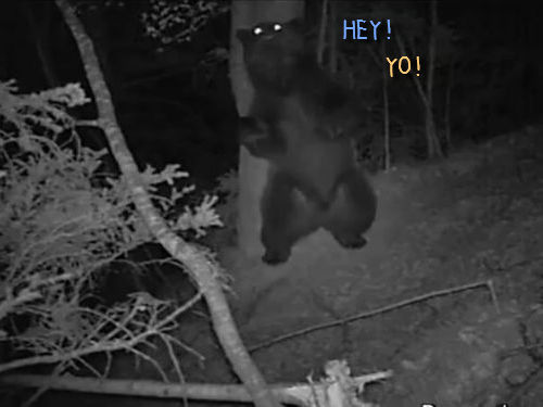 ���ޥ���