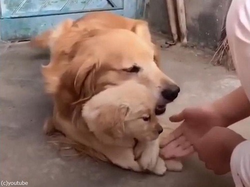 ̼��Ů������ѥѸ�02