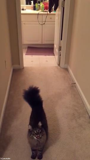 �פȺʤ���ߤ�ǭ��̾����Ƥ֤Ȥ�07