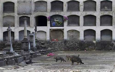 スペインの墓地01