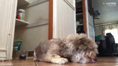 Ĺ�Ӥʤ�ǤϤ�Ǻ��04