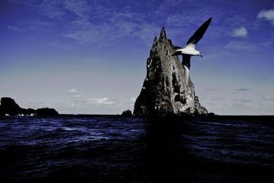 ボールズ・ピラミッド11