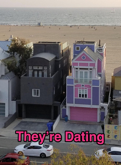 ��ʪ���ǡ��Ȥ��Ƥ���Ȼפ��Ȥ�01