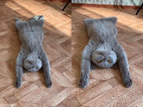 ������˺�줿ǭ01