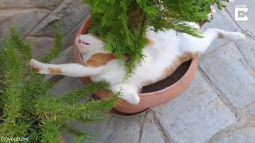 �ʤ�������٥åɤˤ����ġ�02