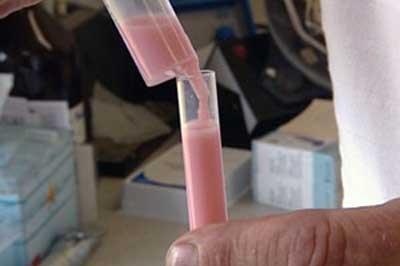 馬の精子ドリンク01