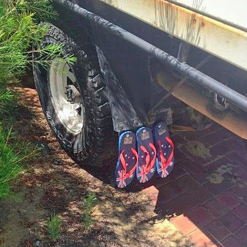 ワイルド・オーストラリア15