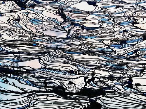 絵画みたいな中国の田んぼ00