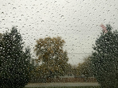 携帯カメラ撮影06