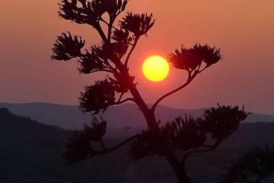 写真テクニック02