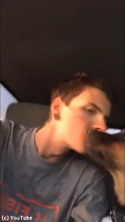 飼い主さんにキスされたシェパードの子犬03