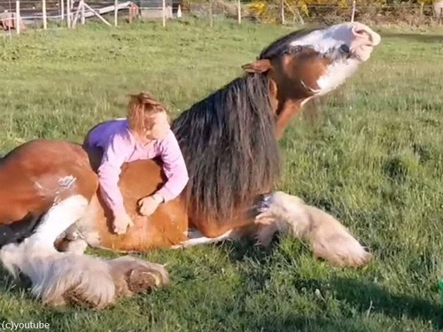 女性にお腹をコチョコチョされて喜ぶ馬00