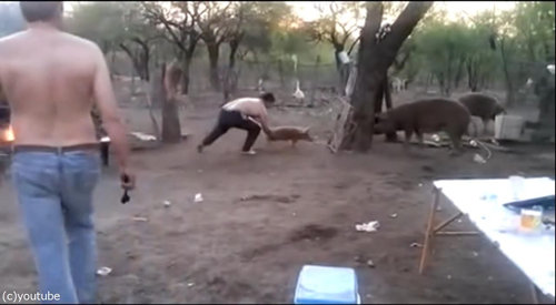 ���ڤ�����01