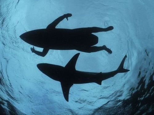 07 そっくり同士　