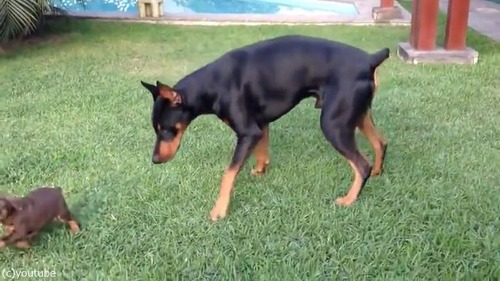 �ɡ��٥�ޥ��Ω���������Ҹ����襤��03