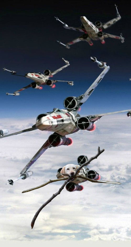 ɬ������Ȥ������ʸ�03