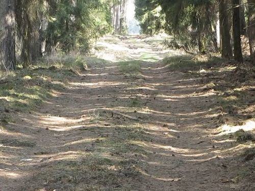 ���襤�����Υ����ƻ�01