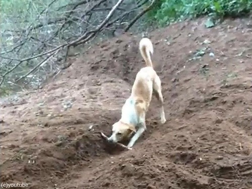 �Ȥ�ͷ�Ӥ����ʸ�04