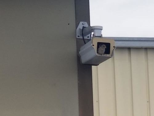 ���ѥ��ݡ��Ȥκǰ��λ���09