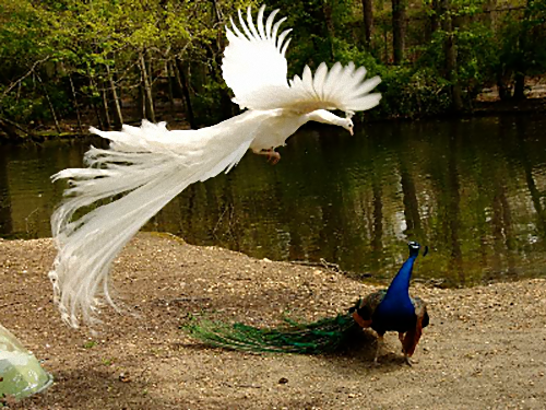 幽体離脱の写真04