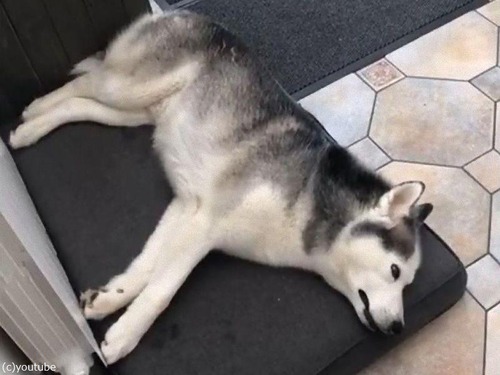 �ϥ���������̴���������02