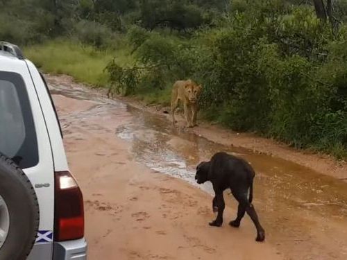 �Хåե������ȥ饤����01