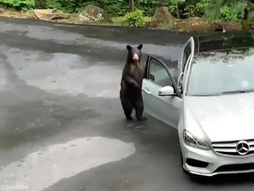 ���ޤ��־�Ӥ餷02