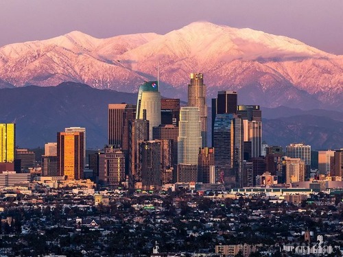 1995-2020Υ󥼥륹ζμ00