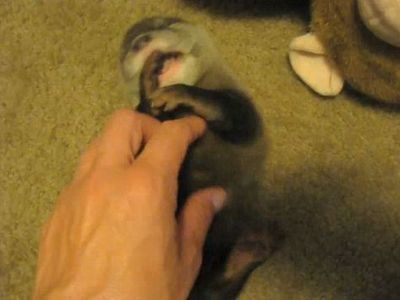 ���復�����֤����