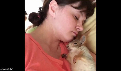 �ɥ�ޥ��å��ʥꥹ���ܳФ�03