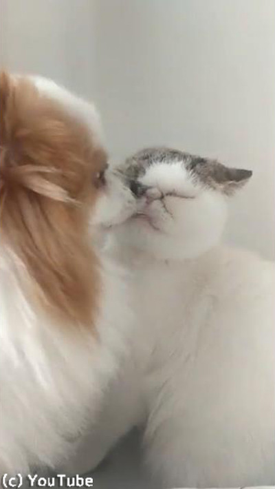 ǭ�ؤΰ���ɽ�����㤷�᤮����01