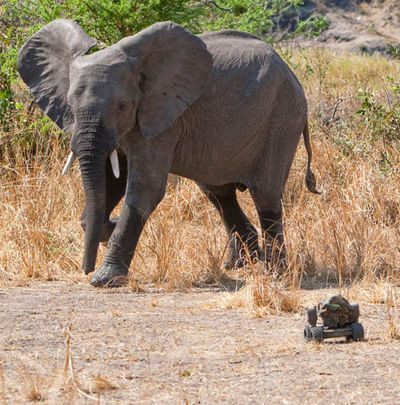 �ӡ��ȥ륫���06