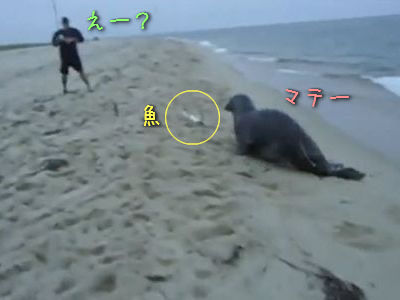 ������ä��Ĥ�꤬����������줿