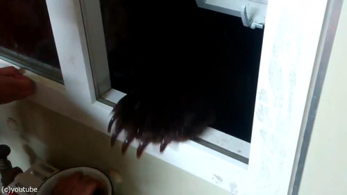 ロシアで夜間に外を出歩いてはいけない理由03